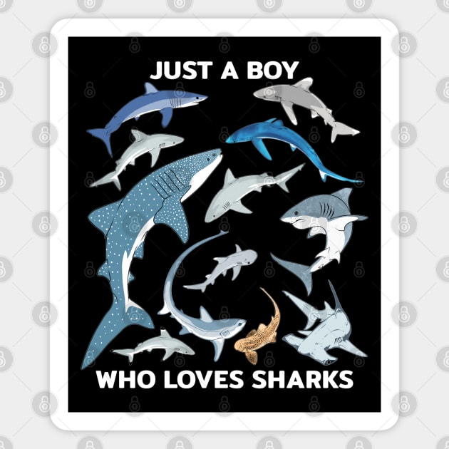 Just a boy who loves sharks Magnet by NicGrayTees